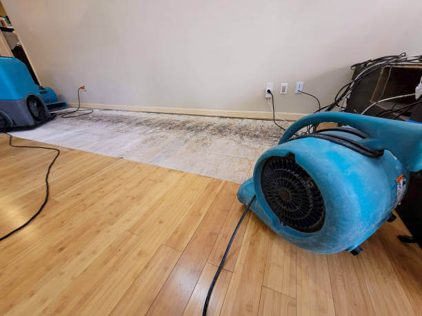 Professional Sewage Cleanup technician working in Grayling, MI